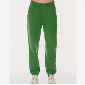 Aritzia TNA Green Sweatpants Relaxed Fit Joggers Small Casual Cotton Pants